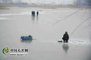 東七村