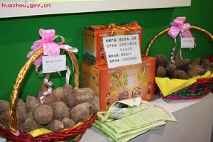 在廣東（茂名）農業博覽會參展的優質蕃薯