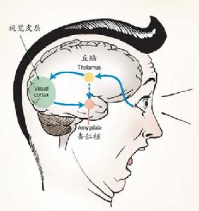 心理原理