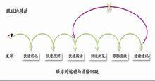 快速閱讀的眼球運動及避免回讀