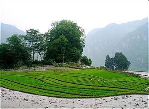 落北河鄉