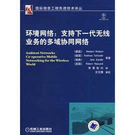 環境網路：支持下一代無線業務的多域協同網路