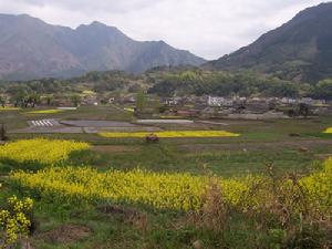 涇縣茂林鎮南容村