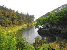 青山嶺森林公園