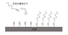 無規共聚物