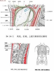 鳩尾