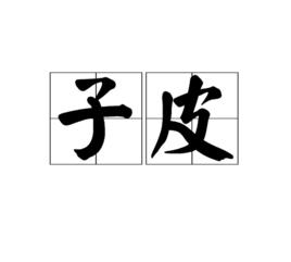 子皮[鴟夷子皮（范蠡）的省稱]