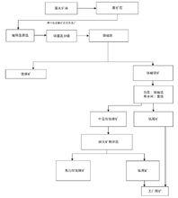 鐵精礦及鈦中礦的生產過程