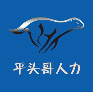 武漢平頭哥人力資源服務有限公司