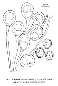 混淆柄鏽菌