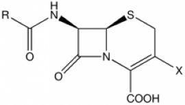 第一代頭孢菌素