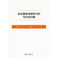 已開發國家減緩努力的可比性問題