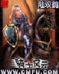 《騎士風雲》[網路小說]