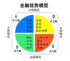 HBDI全腦優勢