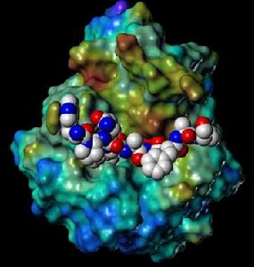 分子生物