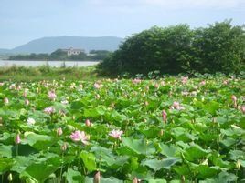 黃家湖