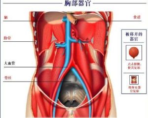 肝血虛證