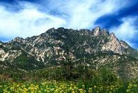 牙山[山東名山]