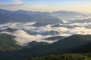 十萬大山剿匪