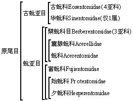 原尾目