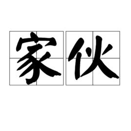 傢伙[詞語]