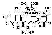 藻紅素