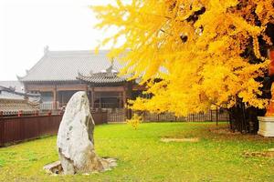 古觀音禪寺