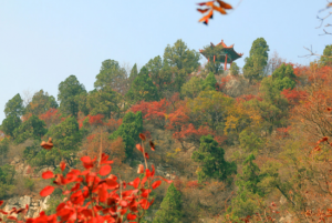 沂源鳳凰山