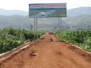 進村道路