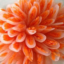 珊瑚蘿蔔