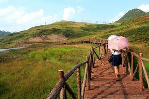 坪寨野雞坪濕地棧道