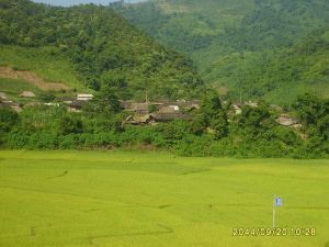 下中山村