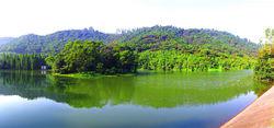 滴水岩森林公園