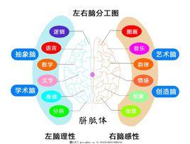 大腦思維