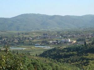 （圖）小河村春景