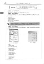 SolidWorks高級教程：二次開發與API