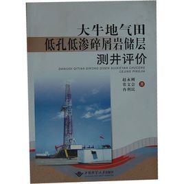 《大牛地氣田低孔低滲碎屑岩儲層測井評價》