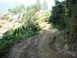 進村道路