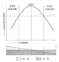 抗原抗體反應曲線