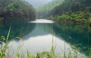 孔雀湖[景洪孔雀湖]