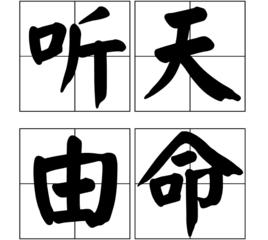 聽天由命[漢語成語]