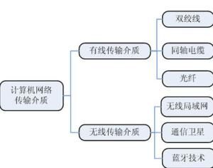 網路傳輸介質