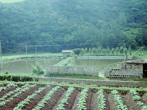 種、養殖業