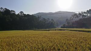 美沙村·自然景觀