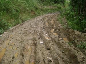 雲南省雲縣曉街鄉大墳村村內道路