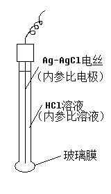 選擇性電極