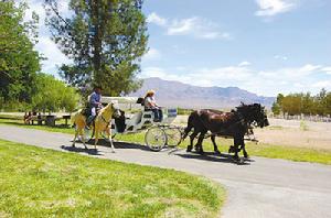 在佛洛伊德雷姆公園悠閒乘馬車