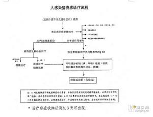 人感染豬流感診療方案