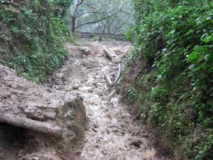 岩子頭自然村[雲南臨滄鳳慶縣新華鄉紫微村委岩子頭自然村]