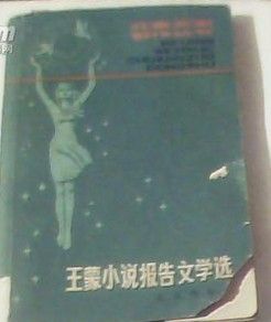 《王蒙小說報告文學選》